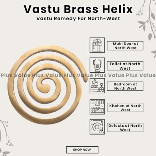 Image of Plus Value Brass Helix Vastu Remedies for North-West Main Door, Entrance, Kitchen, Bedroom Vaastu Dosh Defects Home, Office, Shop, Factory (1pc)