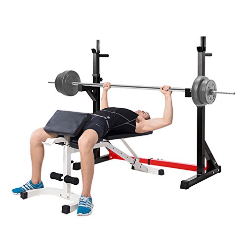 Ollieroo Multi-Function Barbell Rack Dip Stand Height Adjustable Barbell Stand Weight Lifting Rack Gym Family Fitness Squat Rack Weight Lifting Bench Press Dipping Station