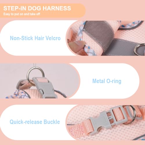 Doggiekit Hundegeschirr Kleine Hunde mit Leine, verstellbares reflektierendes Step in Welpengeschirr Leine, Atmungsaktives Mesh Hundegeschirr,weich gepolsterte Weste für extra kleine/mittelgroße Hunde