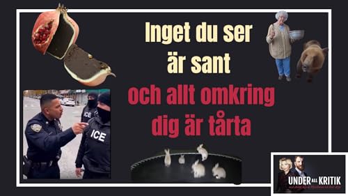 Inget du ser &auml;r sant och allt &auml;r t&aring;rta