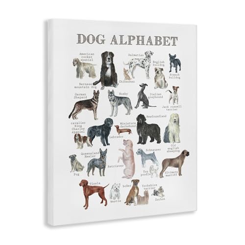 Image of Stupell Industries 'Dog Alphabet Multiple Breeds Educational'| Canvas Art | Stupell Industries | 30 x 40 Inches, Easy to Hang and Sturdy, Made in USA, by Dishique