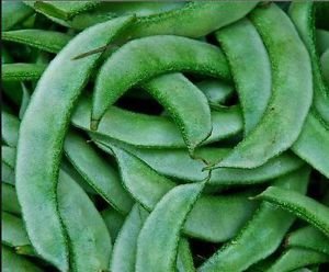 Creative Farmer Flat Lima Bean Green Sem Seeds 20 Seeds (B00IRZKZNW) Amazon Price History, Amazon Price Tracker