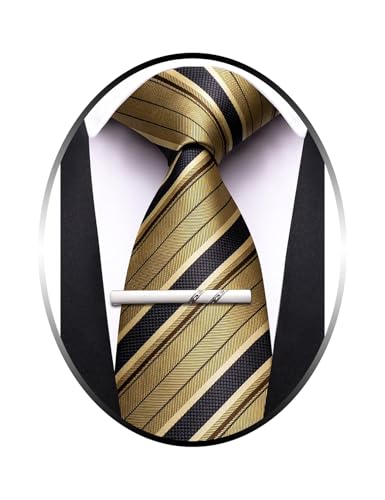 Image of Barry.Wang Silk Ties for Men Fun Necktie and Tie Clip Set for Wedding Party Business Formal Extra Long