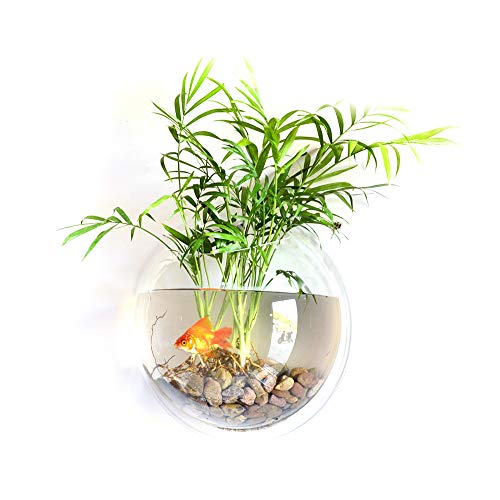 Weehey Décoration de La Maison Support Mural Fish Tanks Goldfish Bowl Acrylique Suspendu Aquariums Pot de Fleurs Vase à Fleur