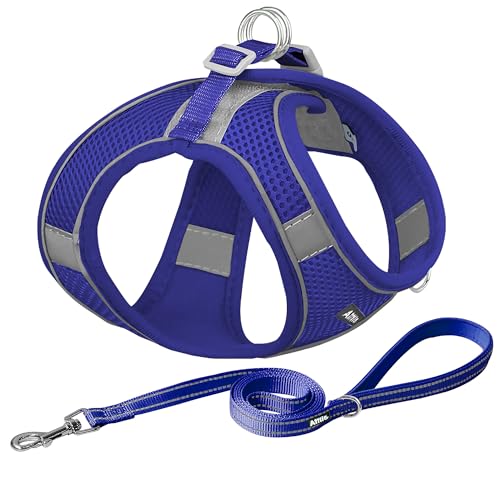 AIITLE Pettorina per cani, pettorina anti-tiro per gatti con guinzaglio, gilet riflettente regolabile per cani, pettorina per cuccioli per cani di piccola taglia e gatti domestici Blu Reale XXXS