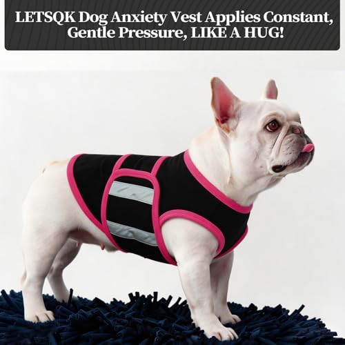 Combinaison de compression pour chien pour visite vétérinaire