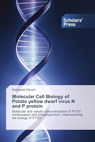 Molecular Cell Biology of Potato yellow dwarf virus N and P protein: Molecular and cellular characterization of PYDV nucleocapsid and phosphoprotein; Understanding the biology of PYDV
