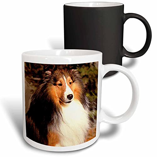 3dRose Sable Border Collie Dogs Collies 11oz Magic Transforming Mug