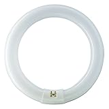 GE Lighting 33890 32 Watt Cool White Compact Fluorescent Circline Light Bulbs
