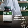 GAIA HERBS PRO GI-BFF Digestive Health Support Supplement - GI Health Supplement with Organic Fennel & Cinnamon Bark - Benegut for Occasional Gas & Bloating* - 60 Capsules (60 Servings)