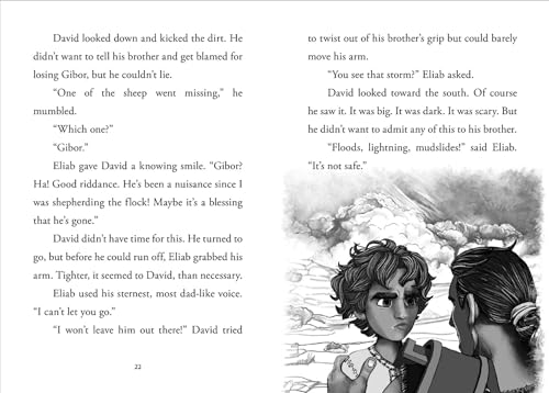 Young David: Shepherd - Image 5