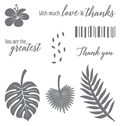 DIY Scrapbooking Artes Estampado, sellos y troqueles para hacer tarjetas, troqueles de corte de metal, sellos transparentes, sellos de silicona, decoración de álbum (tamaño : 4293) Cover