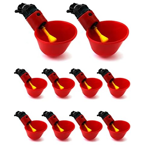 QWORK 10 Pzs Bebedero Gallinas Automatico Cover