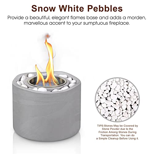 BRIAN & DANY Portable Tabletop Alcohol Fire Pit #TOP4