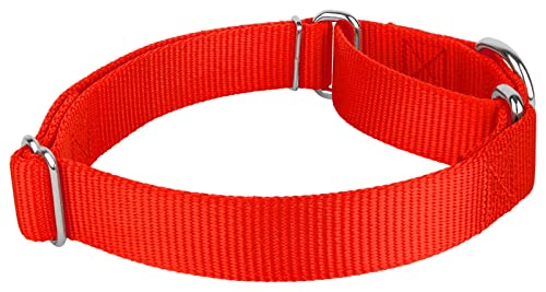 Country Brook Petz - Vibrant 15 Color Selection - Martingale Heavyduty Nylon Dog Collar (Extra Large, 1 1/2 Inch Wide, Hot Orange) #TOP2