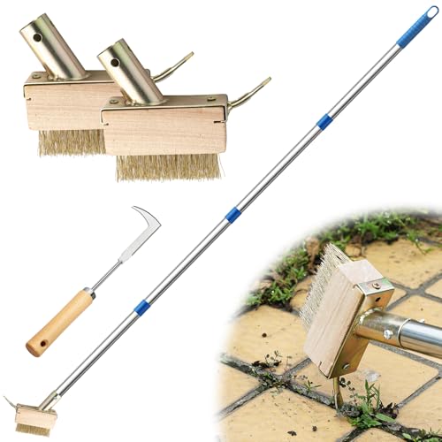 Moss Remover Brush Crack Weeder Tool Stainless Steel Crevice Weeder with 2 Brush Heads - Long Handle...