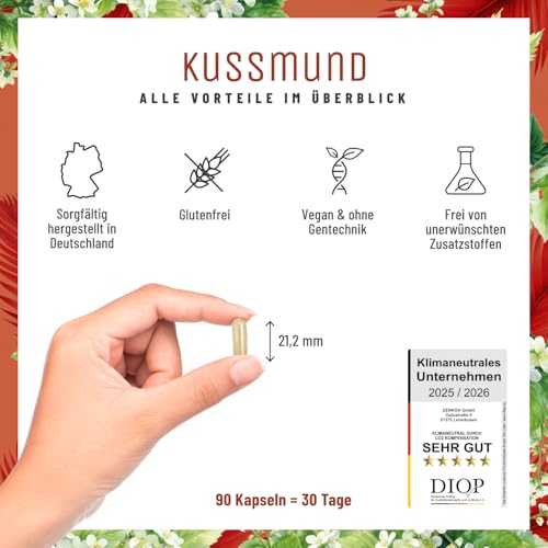 L-Lysin 1000 mg hochdosiert - L Lysin Komplex mit Zitronenmelisse und Selen – Hochdosierte Kapseln...