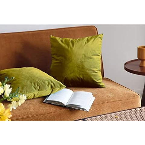 Pagnanno Set of 2 Velvet Cushion Covers Cover
