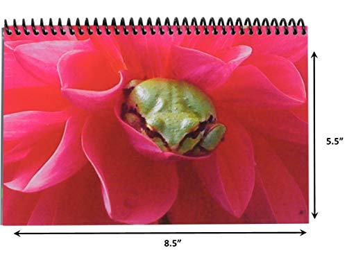 The Superior Check And Debit Card Register - Wide Edition (1-Pack, Frog) #TOP6