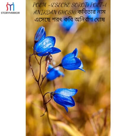 POEM =(ESECHE SOROT) POET=( ANIRBAN GHOSH).কবিতার সেছে শরৎ কবি অনির্বাণ ঘোষ copertina