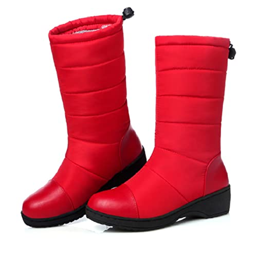 [Hanani] u[c fB[X Xm[u[cC tBbVOu[c h  hC ~ y ~ _Eu[c 傫TCY  24.5cm