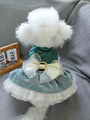 Image of HDKUW Small Dog Dress, Girl Puppy Lace Princess Skirt Tutu Dress with Bowknot,Chihuahua Yorkie Clothes Outfit for Birthday Wedding Party Green L