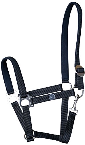 Cabestro Harry's Horse Full L negro cubierto para caballos 2