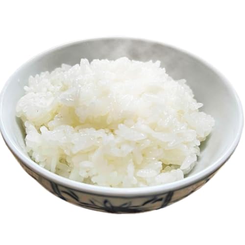 島根県安来市産 きぬむすめ 玄米 10kg [令和7年産]
