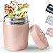 Hangrow Petit Flacon pour Boissons Chaudes Flacon à Soupe, 250 ML Thermos Alimentaires Récipient Thermique Pour Aliments, Récipient Isolé Pour Aliments Chauds, Tasse à Lunch Portable Scellée