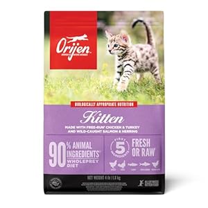 ORIJEN Dry Kitten Food, Grain Free Food for Kittens, with WholePrey Ingredients, 4lb