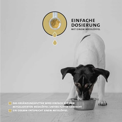 Peticare Herz & Kreislauf Pulver für Hunde | Unterstützt Herzgesundheit & Vitalität | Mit Omega-3, L-Carnitin & Weißdorn | Natürliches Ergänzungsfutter | petDog Health 2612