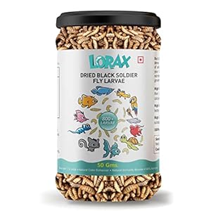 Lorax Fish Food 100 Gram Black Soldier Fly Larvae Dried More Calcium Than Meal Worms, 40% Protein