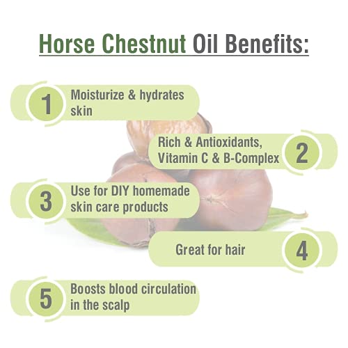 Image of B-URBAN Horse Chestnut Oil |Pure and Natural Horse Chestnut Oil | Firm, Hydration, Toning, Cosmetic Grade| Skincare, Hair Care, and DIY Purpose (100ml)