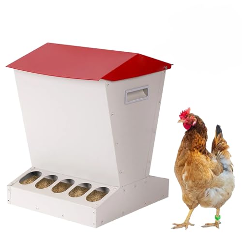 Comedero automático para pollos, metal resistente a la intemperie para exteriores, capacidad de 25 libras, tapa incluida, diseño a prueba de derrames para alimentar pollos, patos, gansos, pavos y