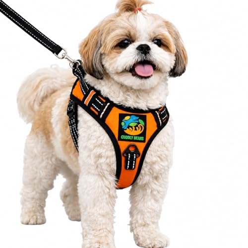 Image of Adjustable Padded Dog Harness with Leash | Comfortable Walking Harness for Small Dogs | Orange | XS | Suitable for Dogs 5-10 kg