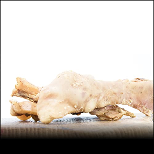 Wo Bekommt Man Schweinehaut Zum Tätowieren Schweinehaut – Die 16 besten Produkte im Vergleich - Haustierratgeber
