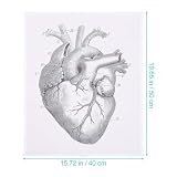 Zoom IMG-2 hoodancos poster anatomico del cuore