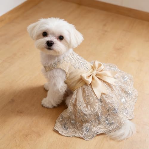 Vestido de encaje para perro color champagne talla S