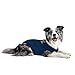 MPS Medical Pet Shirt, Blau, für mittelgroße+ Hunde
