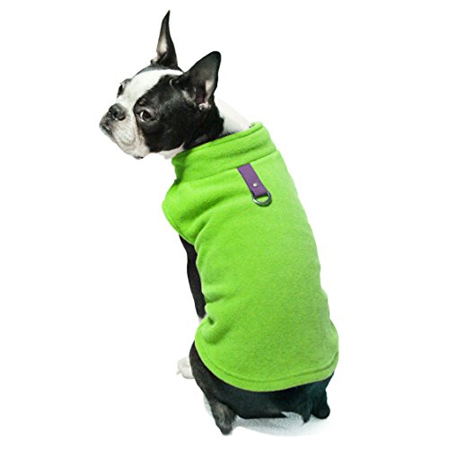 The Latest in Dog Fashion Trends Dog Training Me