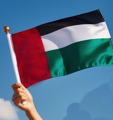 مارك كيو علم الامارات العربية المتحدة على عصا - عبوة من 12 قطعة | 20 × 28 سم اعلام الامارات العربية المتحدة صغيرة محمولة لليوم الوطني وفعاليات دبي والانشطة المدرسية ويوم العلم والمسيرات ومستلزمات الاحتفالات والحفلات