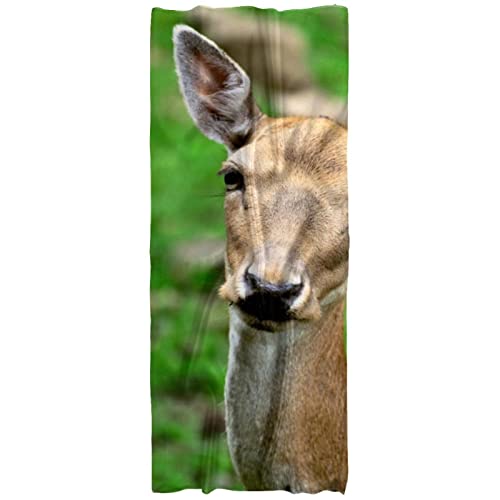 Écharpe légère pour femme imprimé cerf idéal pour vos balades d'automne et de printemps