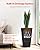 VEVOR Set of 2 Tall Outdoor Planters 22inch, Large Planters for Outdoor Indoor Plants, Black Front Porch Planter Flower Tree Plant Pots with Modern Design and Built-in Drainage