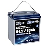 WEIZE 48V 30AH GC8 Bluetooth Golf Cart LiFePO4 Battery, Grade A Cells, 100A BMS, Low-Temp Protection Deep Cycle Lithium battery for Golf Carts, RVs, Solar System