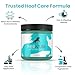 Therazure Horse Hoof Thrush Treatment Clay and White Line Equine Care: Effective on Horses, Cows, Goats, Sheep, Pigs and All Hooved Animals- 20 oz Jar New Heat Resistant Formula*