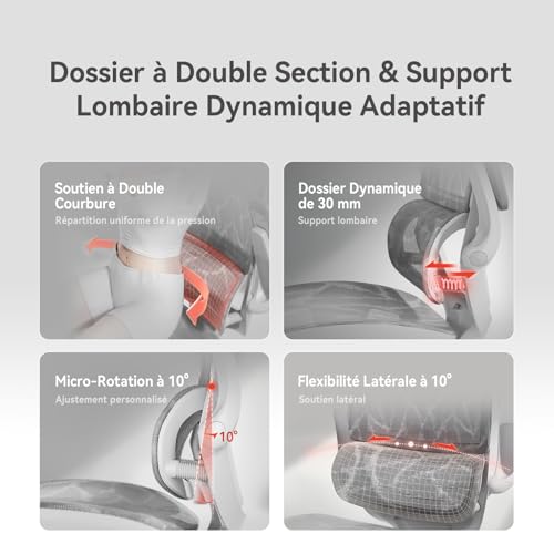 SIHOO M59AS Chaise de Bureau Ergonomique, avec accoudoirs 3D relevables, Double Dossier, Soutien Lombaire Dynamique adaptatif et Maille, idéale pour Le Bureau à Domicile.