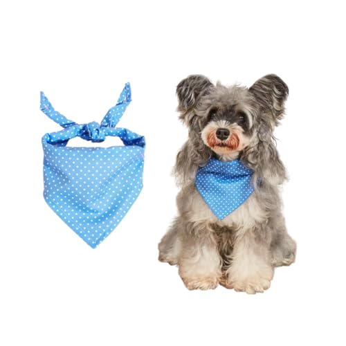 ybgruA̎Op`̃XJ[tAʃhbgp^[ALXJ[tA3̃X^C (B)