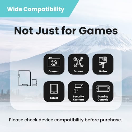 Image of MMOMENT 1TB Gaming Micro SDXC Card, A2, UHS-I, U3, V30, Class 10, Read Speed Up to 170MB /s, Write Speed Up to 170MB /s, SD Adapter Included (MM23 PRO)