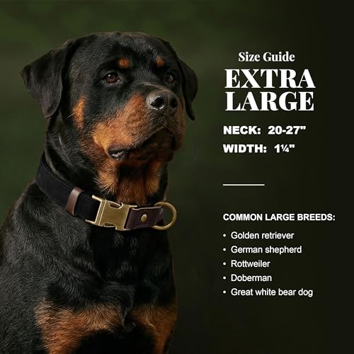 Image of Didog PU Leather Dog Collar for Large Dogs, Soft Nylon Lining, Black XL