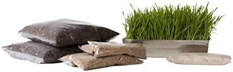 Wheatgrass Growing Starter Kit with Drip Tray